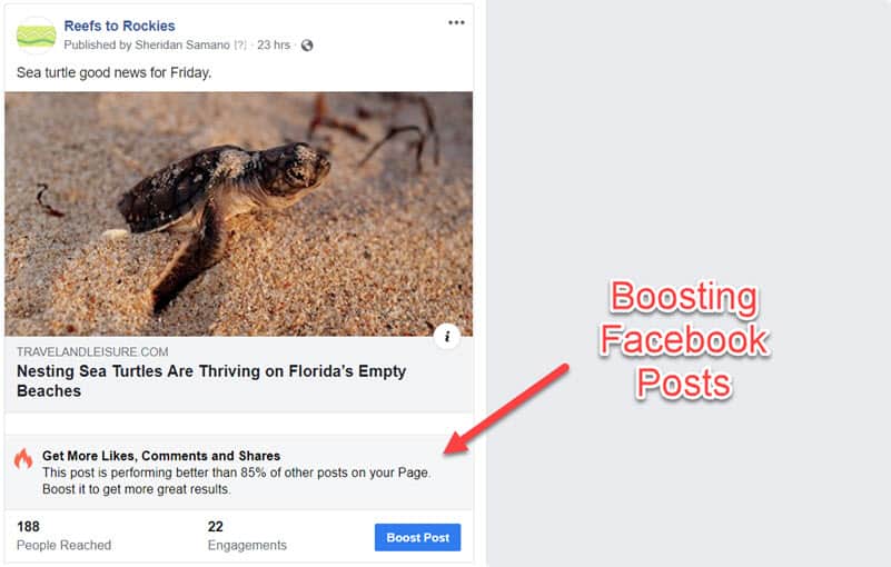 Boosting a Facebook Post